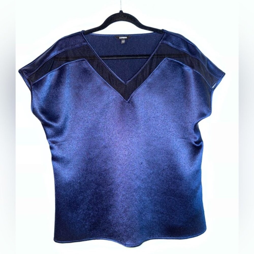 Express Blue Mesh V Neck Blouse